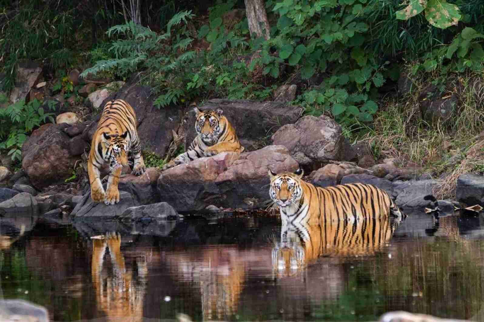 Rajaji National Park