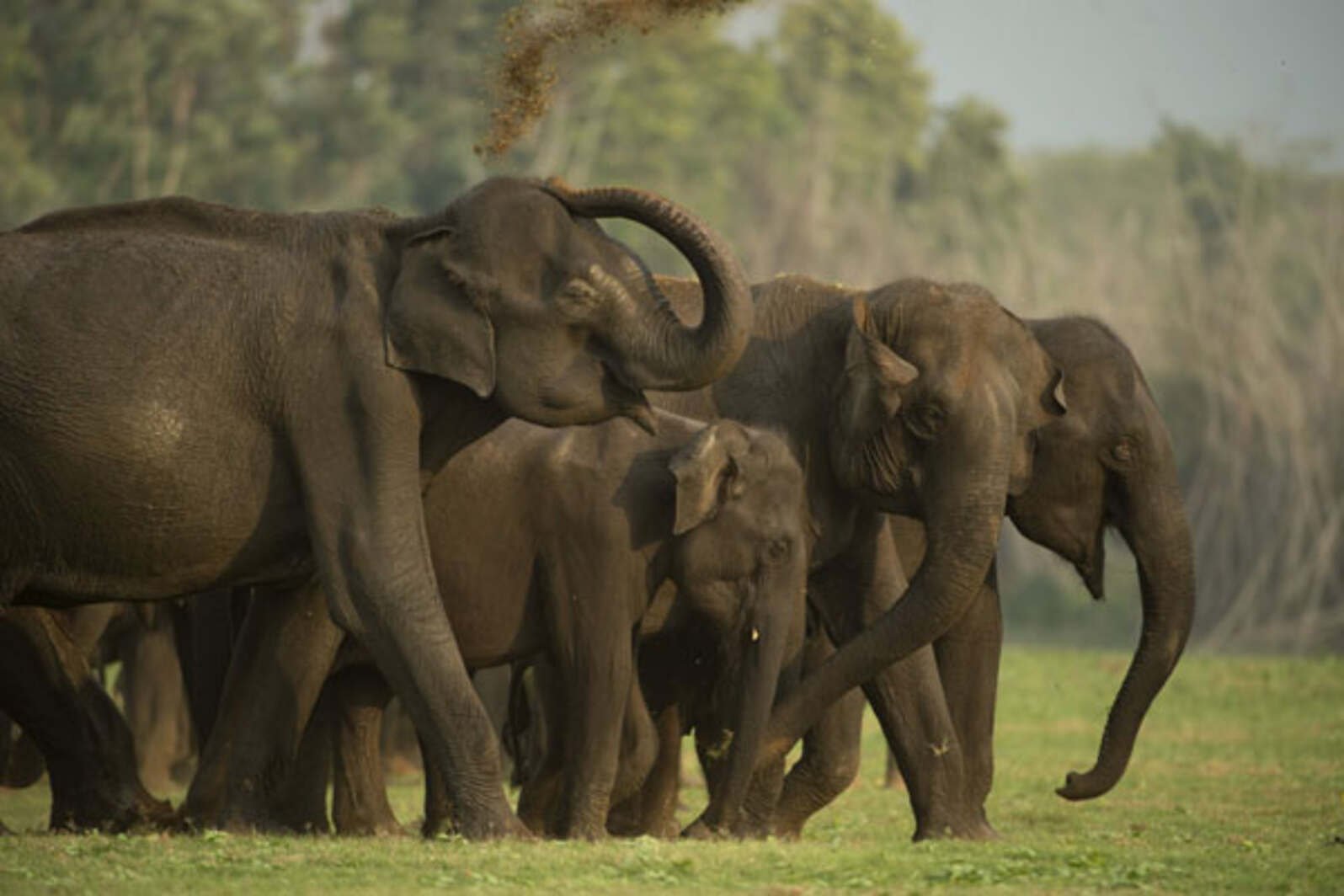 Sundarbans National Park