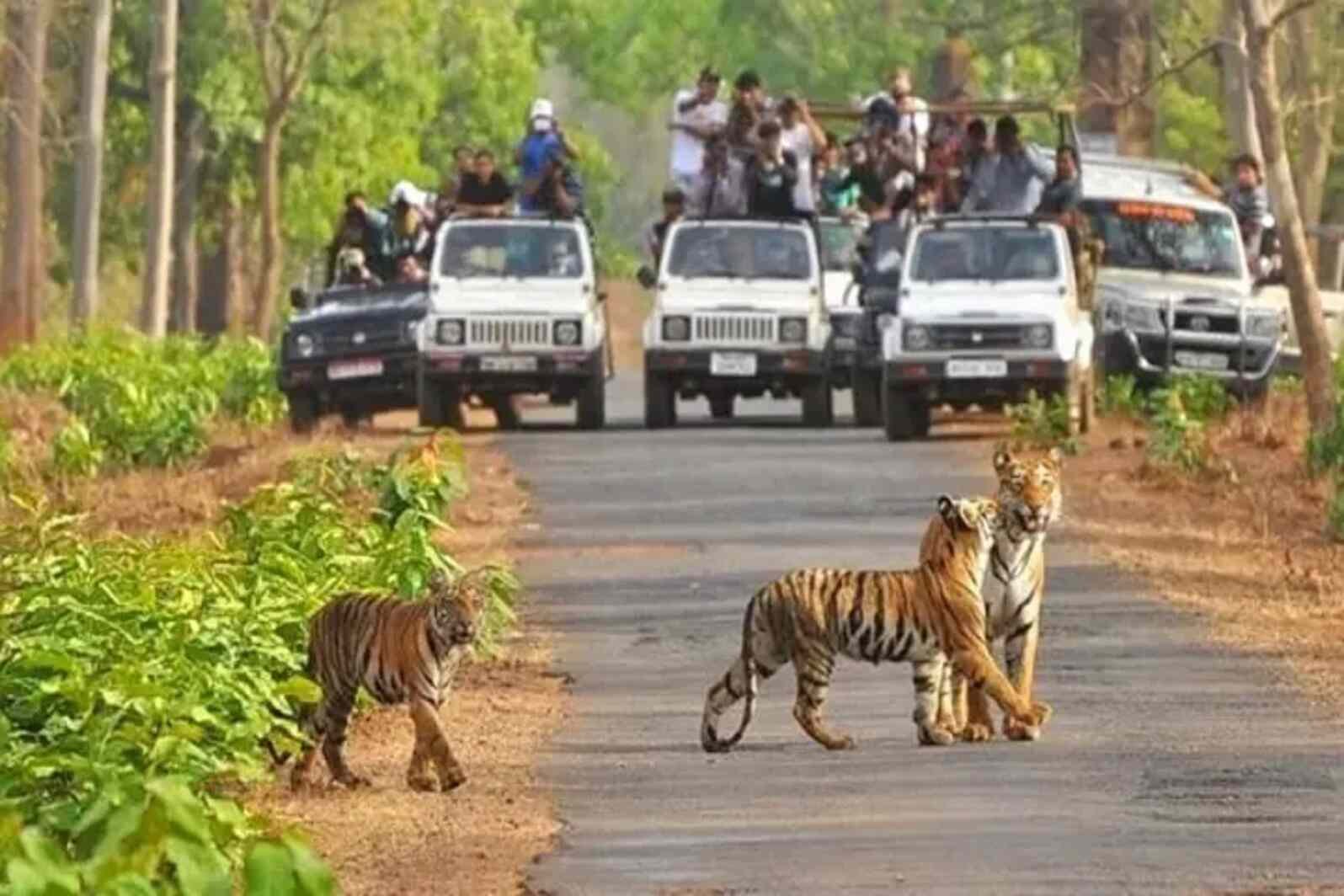 Similipal National Park