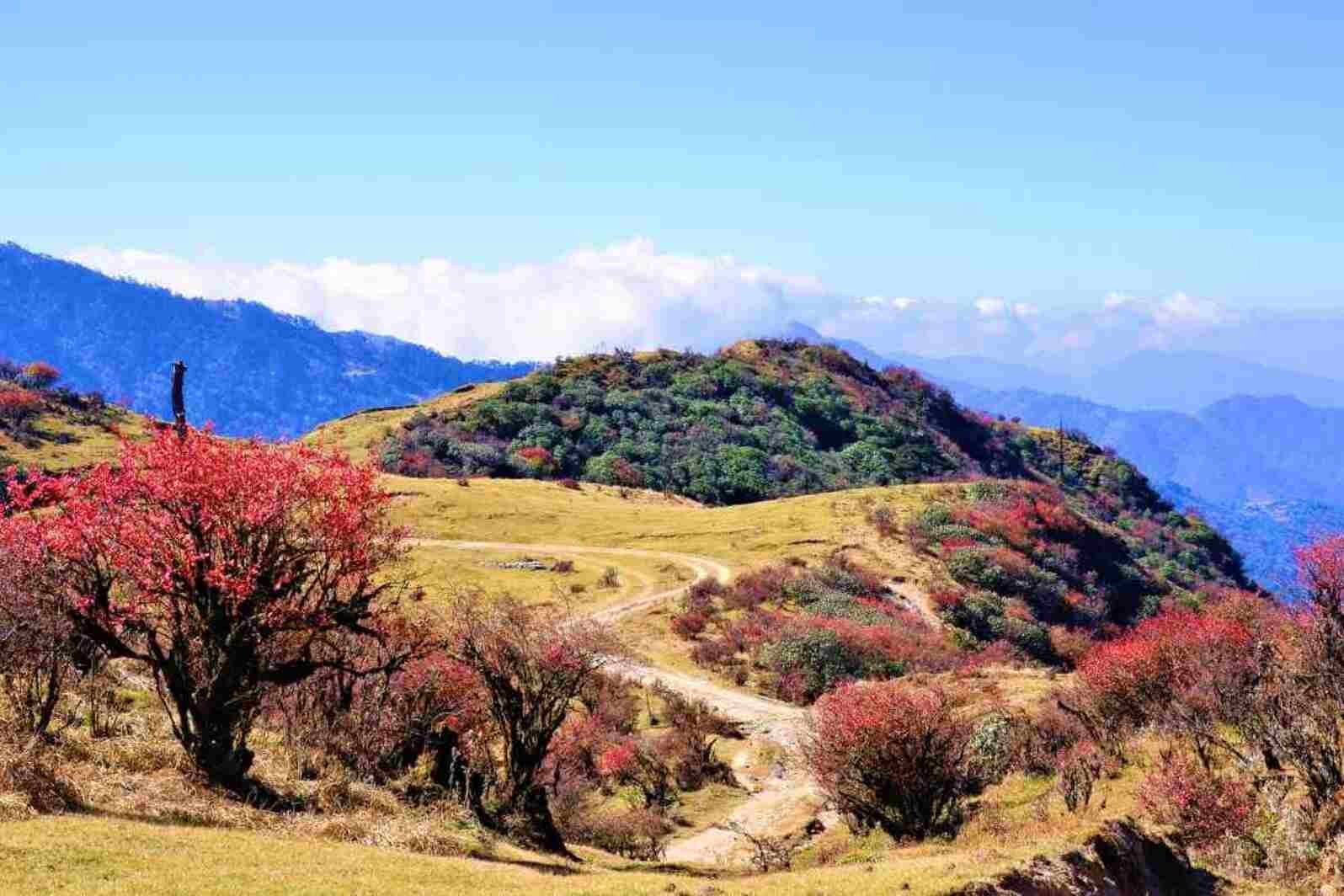 Singalila National Park